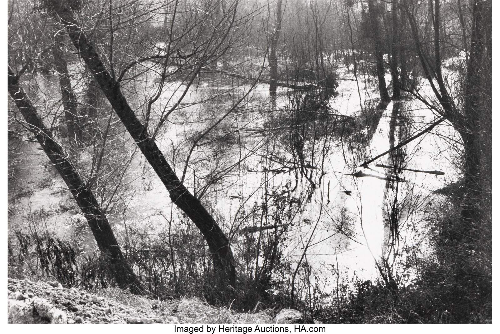 Henri Cartier-Bresson (French, 1908-2004) Pond (: Henri Cartier-Bresson (French, 1908-2004) Pond (Loire Valley) Gelatin silver print 9-1/2 x 14 inches (24.1 x 35.6 cm) (image) 12 x 15-1&