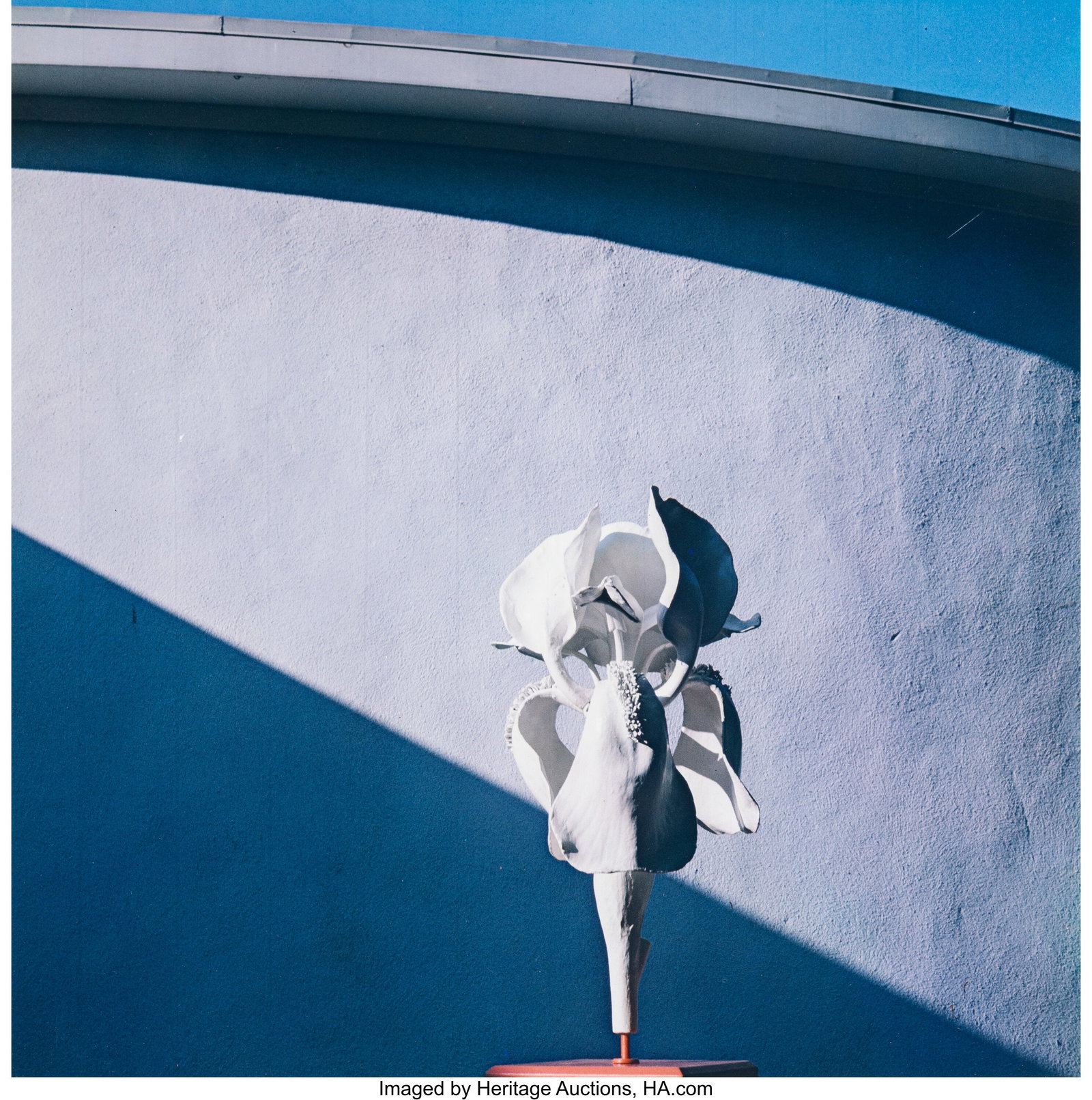 Horst P. Horst (American/German, 1906-1999) Papi: Horst P. Horst (American/German, 1906-1999) Papier Mâché Iris, 1967 Dye transfer print, printed 1989 19-3/8 x 19-1/4 inches (49.