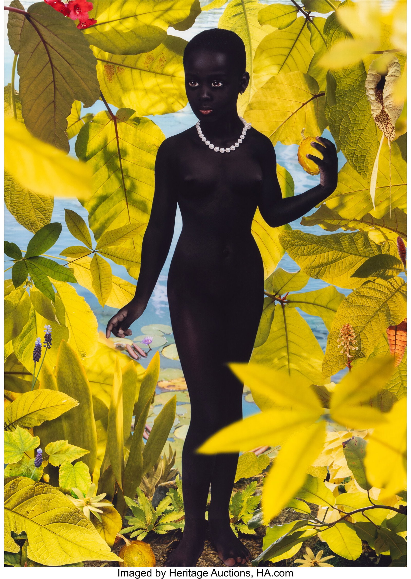 Ruud van Empel (Dutch, b. 1958) Venus #2, 2006 O: Ruud van Empel (Dutch, b. 1958) Venus #2, 2006 Oversized dye bleach print 47 x 33 inches (119.4 x 83.8 cm) (image/sheet) Signed&c