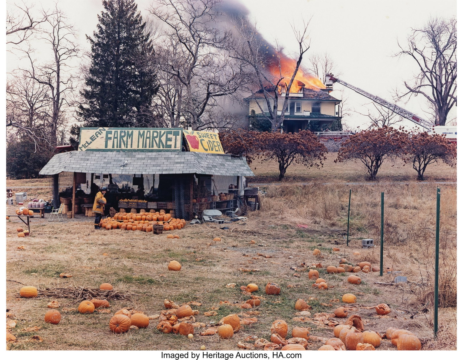 Joel Sternfeld (American, b. 1944) McLean, Virgi: Joel Sternfeld (American, b. 1944) McLean, Virginia, 1978 Dye transfer print, printed 1990 14-1/2 x 19 inches (36.8 x 48.3 cm) &lpa