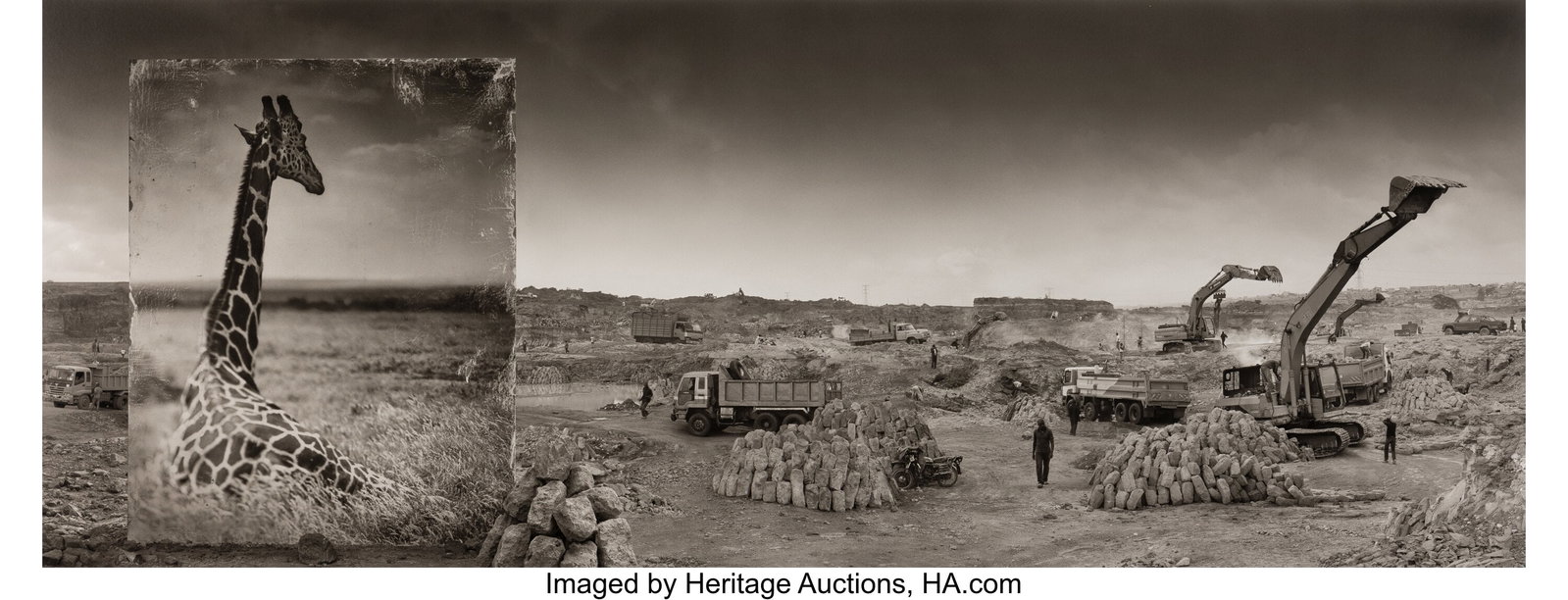 Nick Brandt (English, b. 1964) Quarry with Giraf (1 of 3)