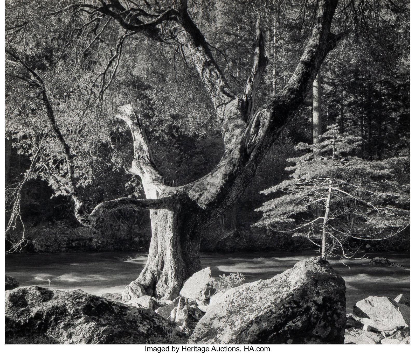 Ansel Adams (American, 1902-1984) Morning, Merce (1 of 2)