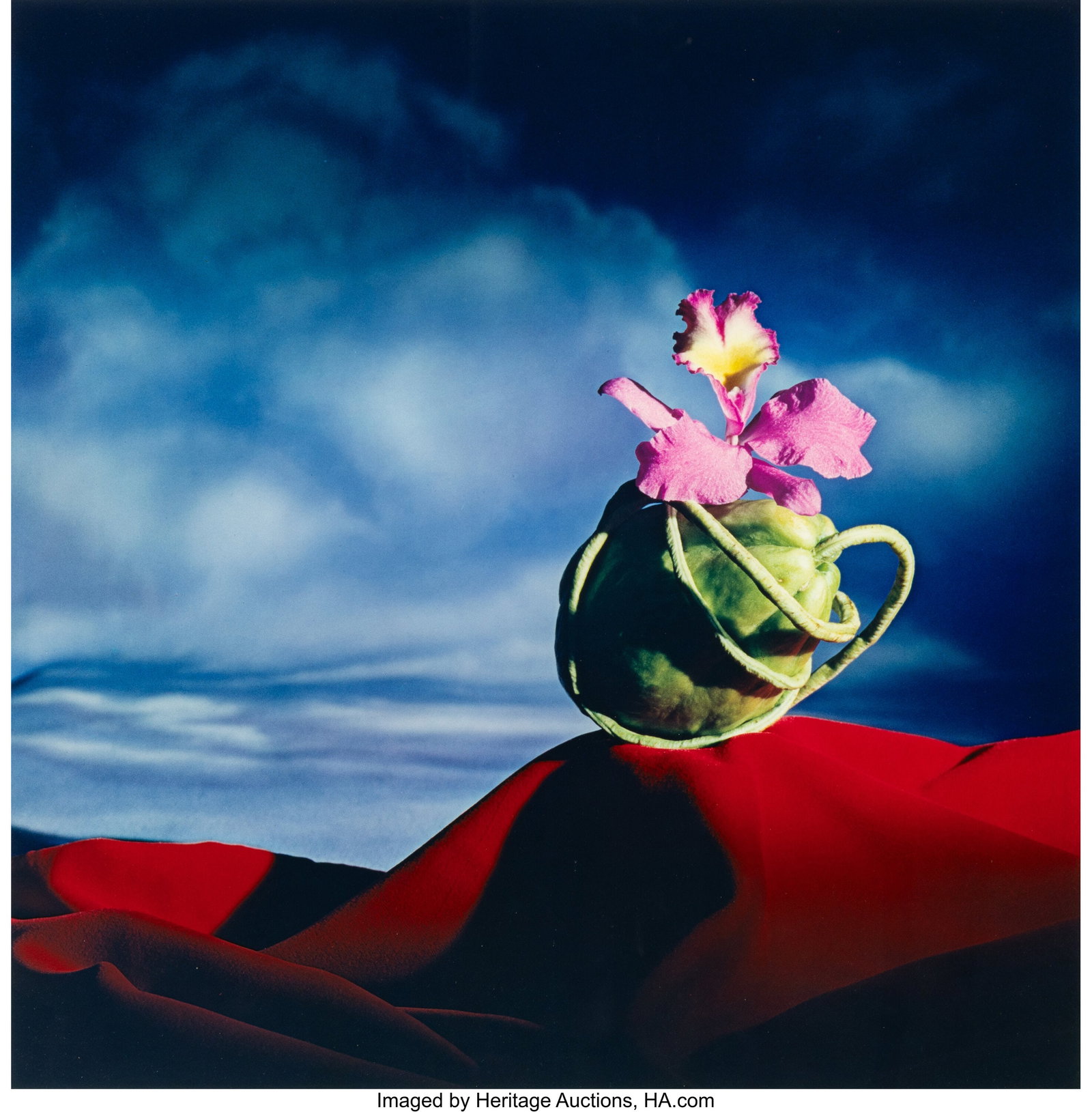Horst P. Horst (American/German, 1906-1999) Squa: Horst P. Horst (American/German, 1906-1999) Squash, 1980-1989 Dye transfer print 20-1/8 x 19-1/4 inches (51.1 x 48.9 cm) (image&rp