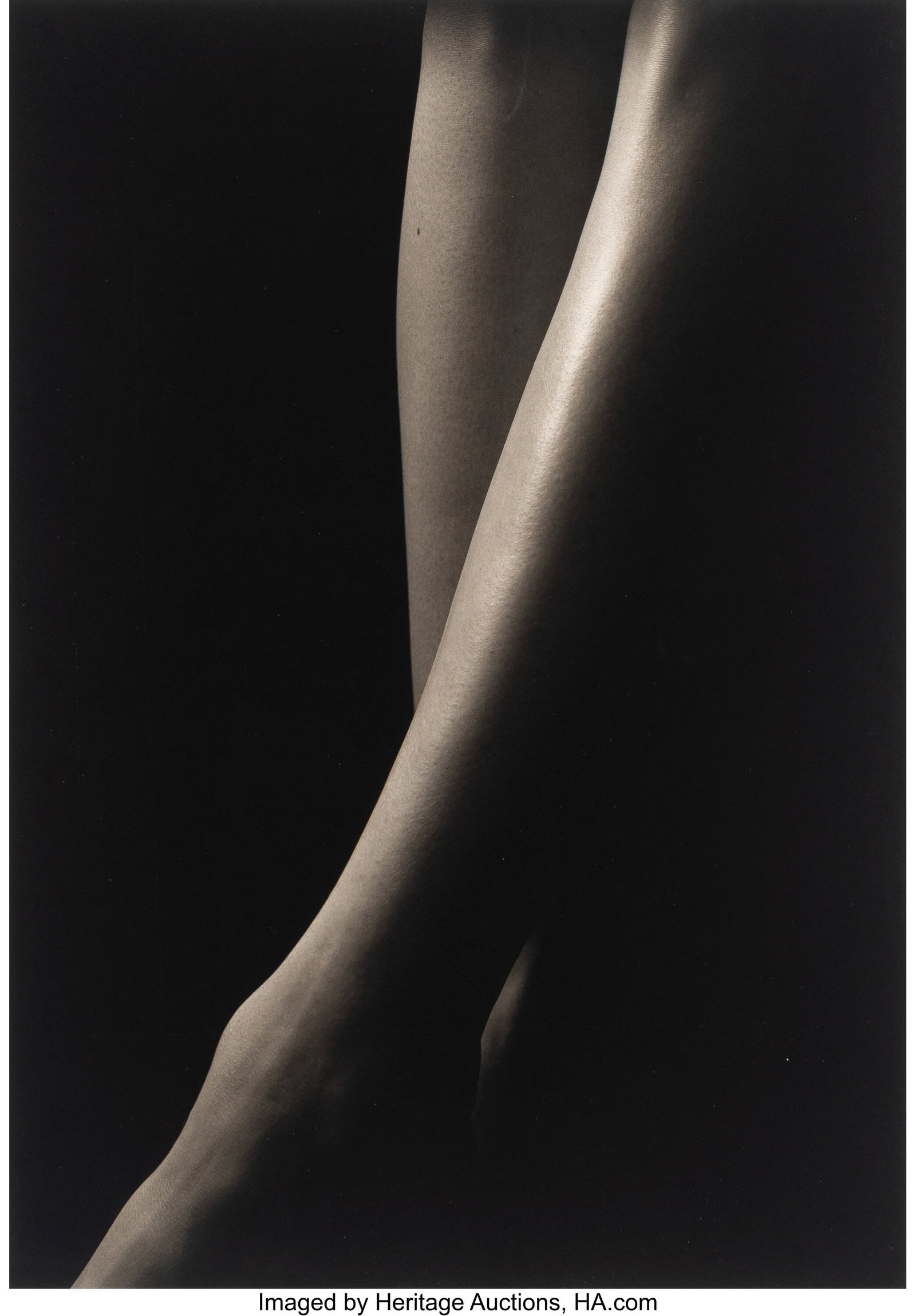 Kenro Izu (American/Japanese, b. 1949) Still Lif: Kenro Izu (American/Japanese, b. 1949) Still Life #647, 1998 Platinum palladium print 20 x 14 inches (50.8 x 35.6 cm) (image) 22 
