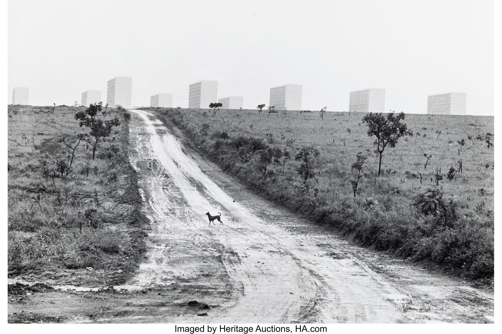 Elliott Erwitt (American, 1928-2023) Basilia, 19: Elliott Erwitt (American, 1928-2023) Basilia, 1961 Gelatin silver print, printed 1974 9 x 13-3/8 inches (22.9 x 34.0 cm) (image/sheet&r