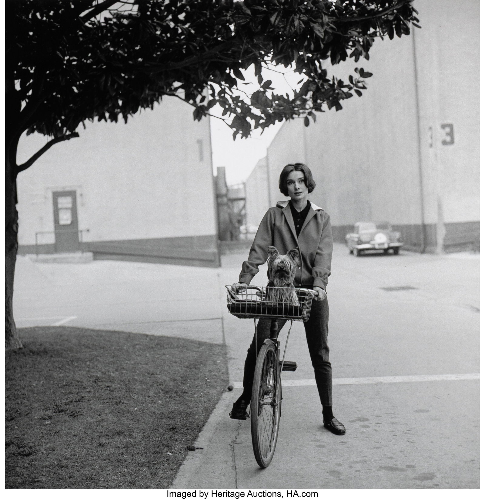 Sid Avery (American, 1918-2002) Audrey Hepburn w (1 of 3)