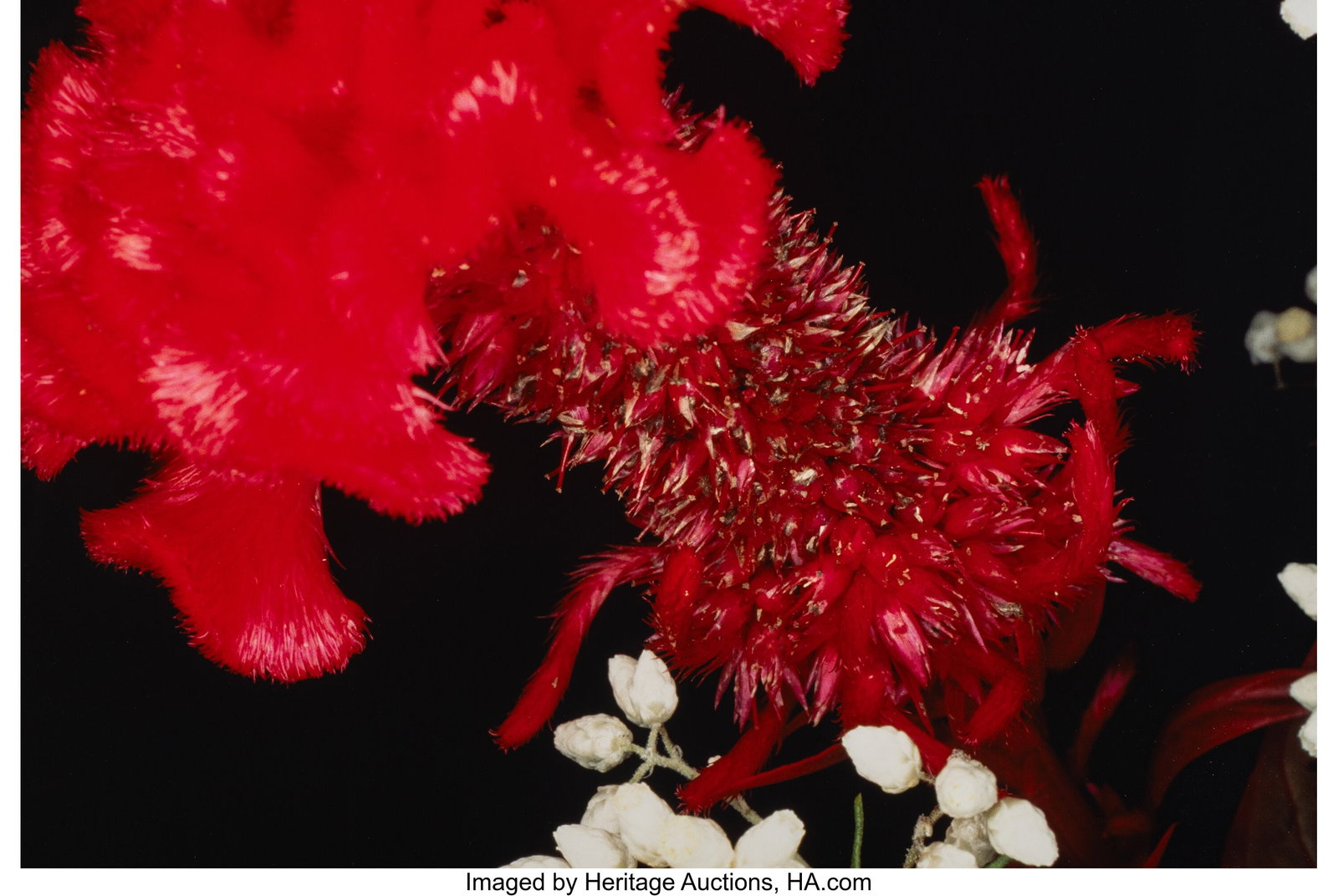 Nobuyoshi Araki (Japanese, b. 1940) Flower, 1997 (1 of 2)