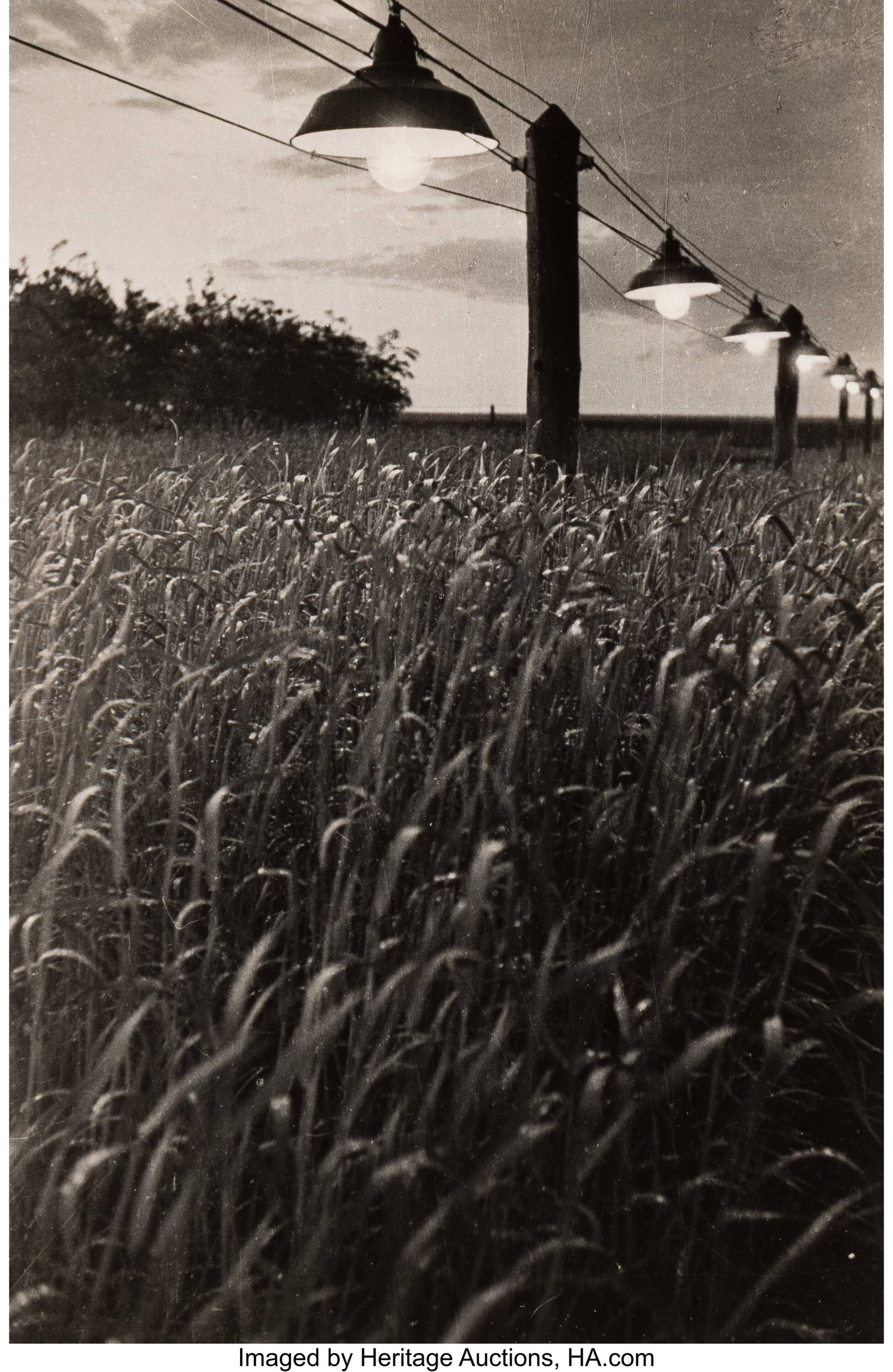 Arkadii Samoilovich Shaikhet (Russian, 1959-1959 (1 of 4)