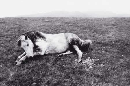 BRUCE DAVIDSON (American, b. 1933) Wales, 1954 G: BRUCE DAVIDSON (American, b. 1933)Wales, 1954Gelatin silver, printed circa