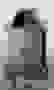item-24073336=2