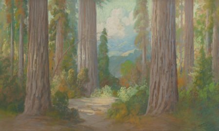 CARL SAMMONS (American, 1883-1968) Redwoods, 192: CARL SAMMONS (American, 1883-1968)Redwoods, 1922Pastel on board12 x 20