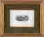 item-37130508=2