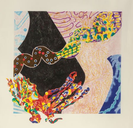 NANCY GRAVES (American, 1940-1995) Borborygmi, 1: NANCY GRAVES (American, 1940-1995)Borborygmi, 1988Aquatint with colors4