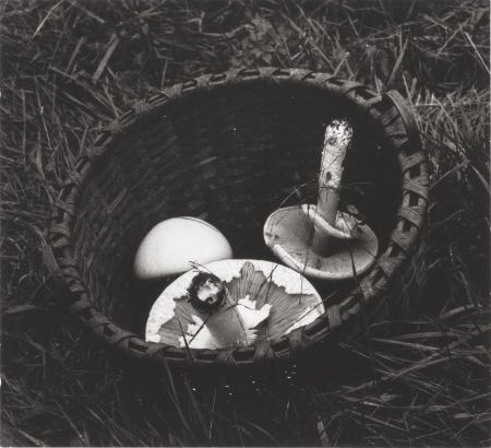 IRENE FAY (Russian, 1914-1986) Field of Mushroom (1 of 2)