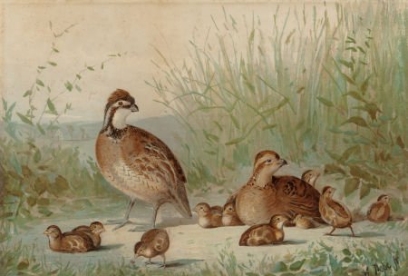 ALEXANDER POPE (American, 1849-1924) Family of Q (1 of 2)