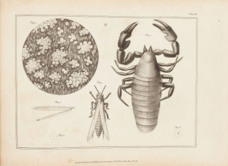 George Adams [Jr.]. Plates for the Essays on the (1 of 3)