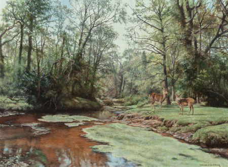 Willem Sternberg De Beer (South African, b. 1941 (1 of 4)