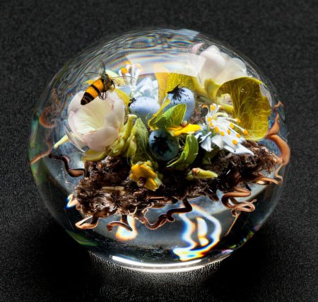 Paul Stankard Flameworked Clear and Colored Glas (1 of 3)