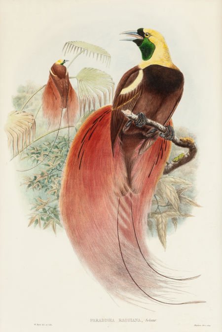 William Matthew Hart (British, 1830-1908) Paradi (1 of 3)