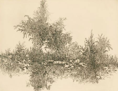 Gabor F. Peterdi (American, 1915-2001) Triumph o: Gabor F. Peterdi (American, 1915-2001)Triumph of Weed, 1959Etching on paper
