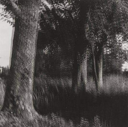 Ralph Eugene Meatyard (American, 1925-1972) Unti: Ralph Eugene Meatyard (American, 1925-1972)Untitled (Motion-Sound landscape), c