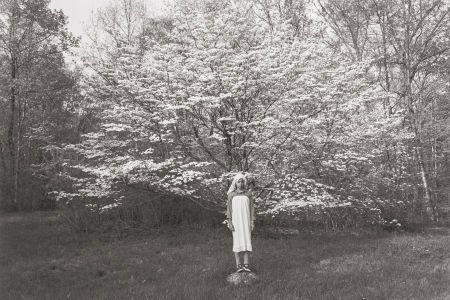 Lee Friedlander (American, b. 1934) North Caroli: Lee Friedlander (American, b. 1934)North Carolina, 1974Gelatin silver, 1978