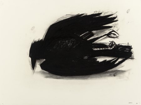 David Bates (American, b. 1952) Study for Crow,: David Bates (American, b. 1952)Study for Crow, 1988Charcoal on paper22-