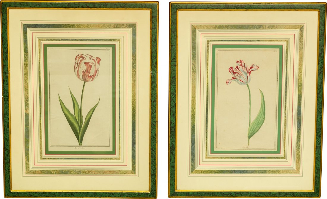 A Pair of Framed Botanical Prints 24-3/4 x 19-1/2 inche (1 of 1)