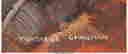 item-50991394=2