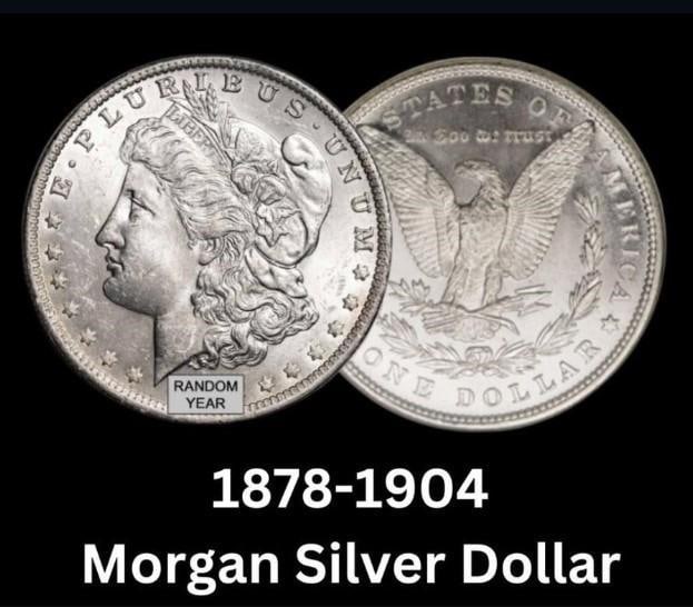 Roll (20) 1878-1904 Choice BU Morgan Silver Dollar (1 of 1)