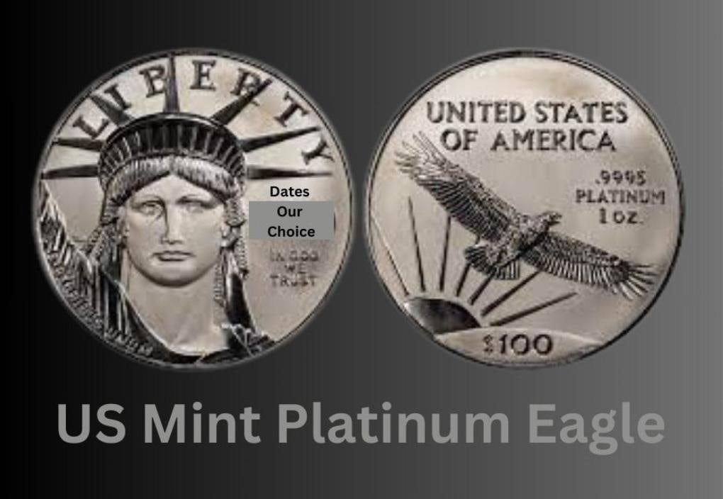 $100 American Platinum Eagle Coin (1 of 2)