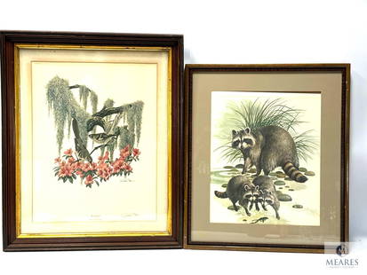 Framed Wildlife Prints - Mockingbird and Raccons: Both for one bid price Each measures approximately 30 x 40 framed 