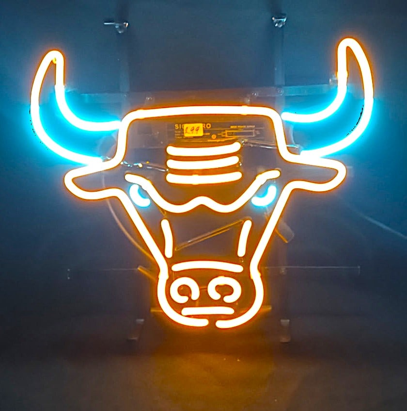 CHICAGO BULLS NEON (1 of 4)