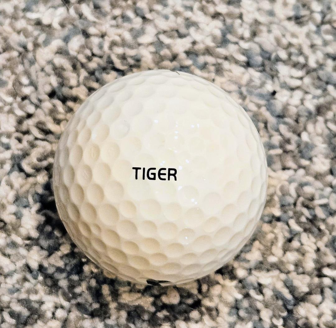 TIGER WOODS NIKE TOURNAMENT READY GOLF BALL: TIGER WOODS, BABE RUTH, MICHAELJORDAN, SECRETARIAT...These are the brand name legends in sports. No one is going to knock them off their perch and no one is their equal. I have a Nike Tiger Woods tour