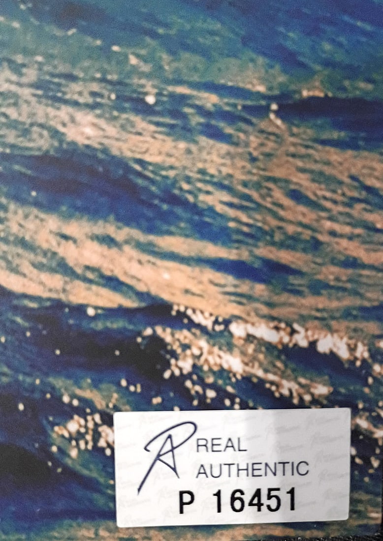TITANTIC POSTER CAST SIGNED-REAL AUTHENTIC - 4