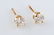 Pair of 14k Yellow Gold Diamond Stud Earrings