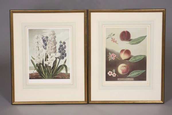 George Brookshaw & S.T. Edwards, 20th Century, Bota: Reproduction prints, Print: 10 1/2" x 8 1/4", Print: 11" x 8 1/2" Frame: 17 1/2" x 14 1/4". Condition: Appears fine.