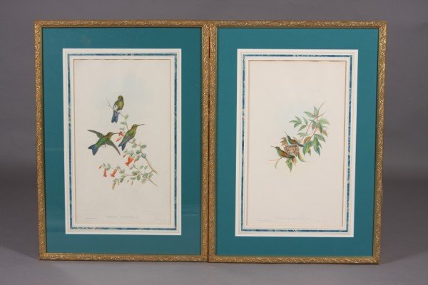 John Gould, Hummingbirds, Two Hand Colored Lithogra: Dimensions: Image: 20 1/2" x 12" Frame: 30" x 21". Singed in plate lower left.