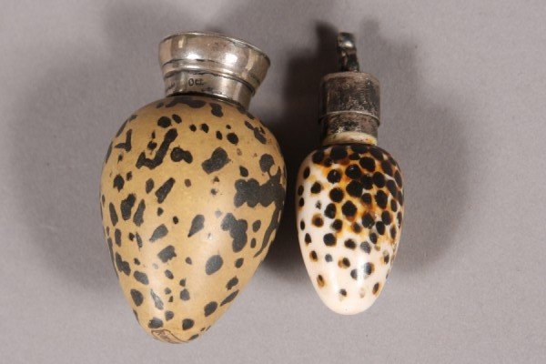 Victorian Stoneware and Silver Mounted Egg Form Sc: Egg form bottle, English, 19th century. Together with a shell and silver mounted bottle. Larger H: 2 1/4"
