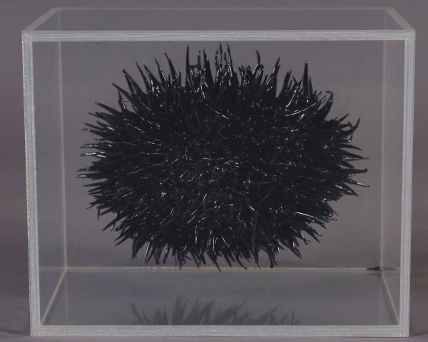 Michele Oka Doner (American, B. 1945) "Black Form #1": Michele Oka Doner (American, born 1945). "Black Form #1". Ceramic organic sculpture, Height 3 1/2", Length 7". Dated 1971. Provenance: Gertrude Kesle Gallery, Detroit, Michigan. Condition: With severa