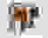 item-11365071=4