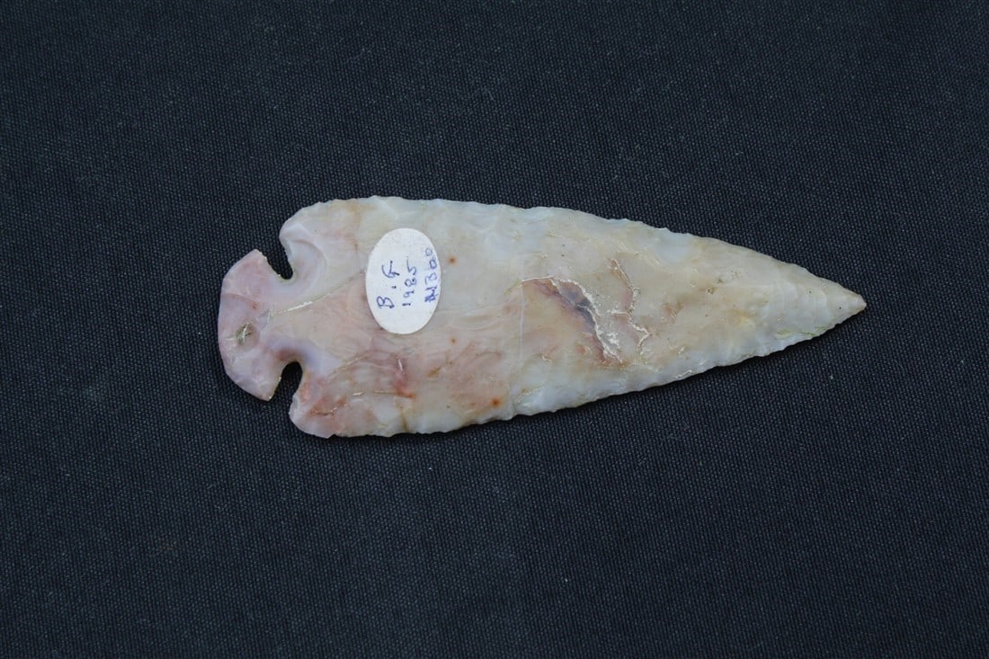 Modern Dovetail (1 of 3)