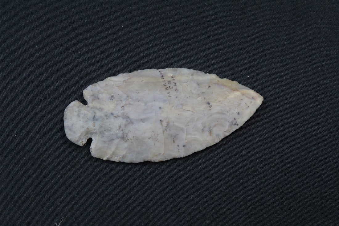 Modern Dovetail (1 of 3)