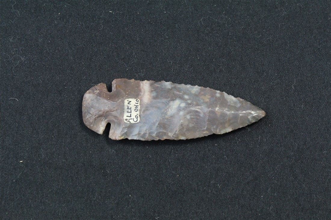 Dovetail: 3 5/8" x 1 1/4". Allen County, Ohio.