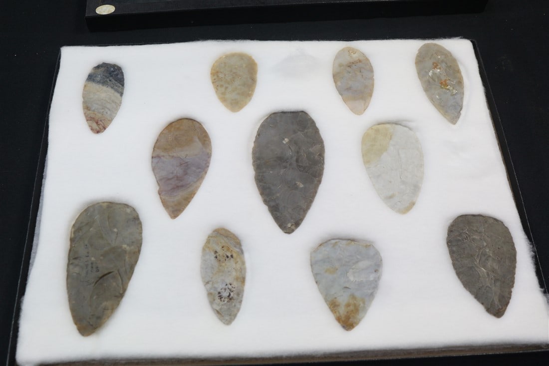 Collection of Eleven Blades: Box: 12 1/4" x 16 1/4".