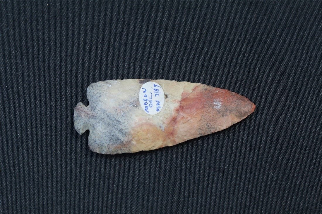 Dovetail: 3 5/8" x 1 1/2". Henry County, Ohio.