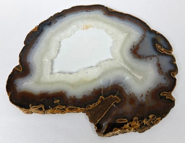 Polished Agate Slice - 716g