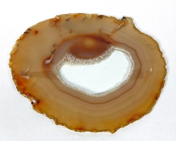 Polished Agate Slice - 642g