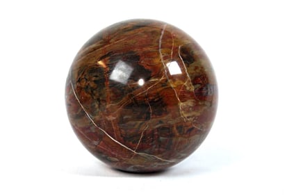Petrified Wood Sphere - 2.9kg