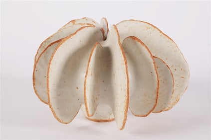 Warren Hullow, Small Glazed Sea Form Sculpture